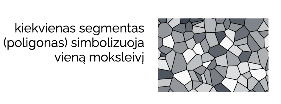 Vienas segmentas = vienas moksleivis